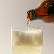 Load image into Gallery viewer, Techa - Hops Kombucha
